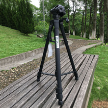 HSEAYM Verrekijker Telescoop Aluminium Statief multifunctionele Draagbare Camera Telescoop Vogel Spiegel Grote Beugel