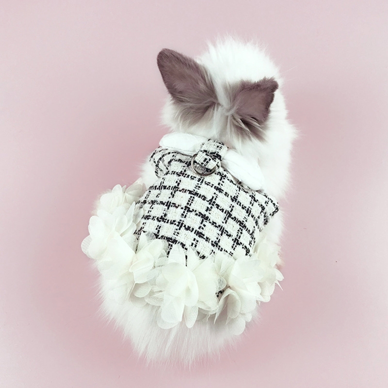 Vestido de conejo para caminar al aire libre, conjunto de arnés y Correa, ropa bonita, correa para el pecho para conejos jóvenes