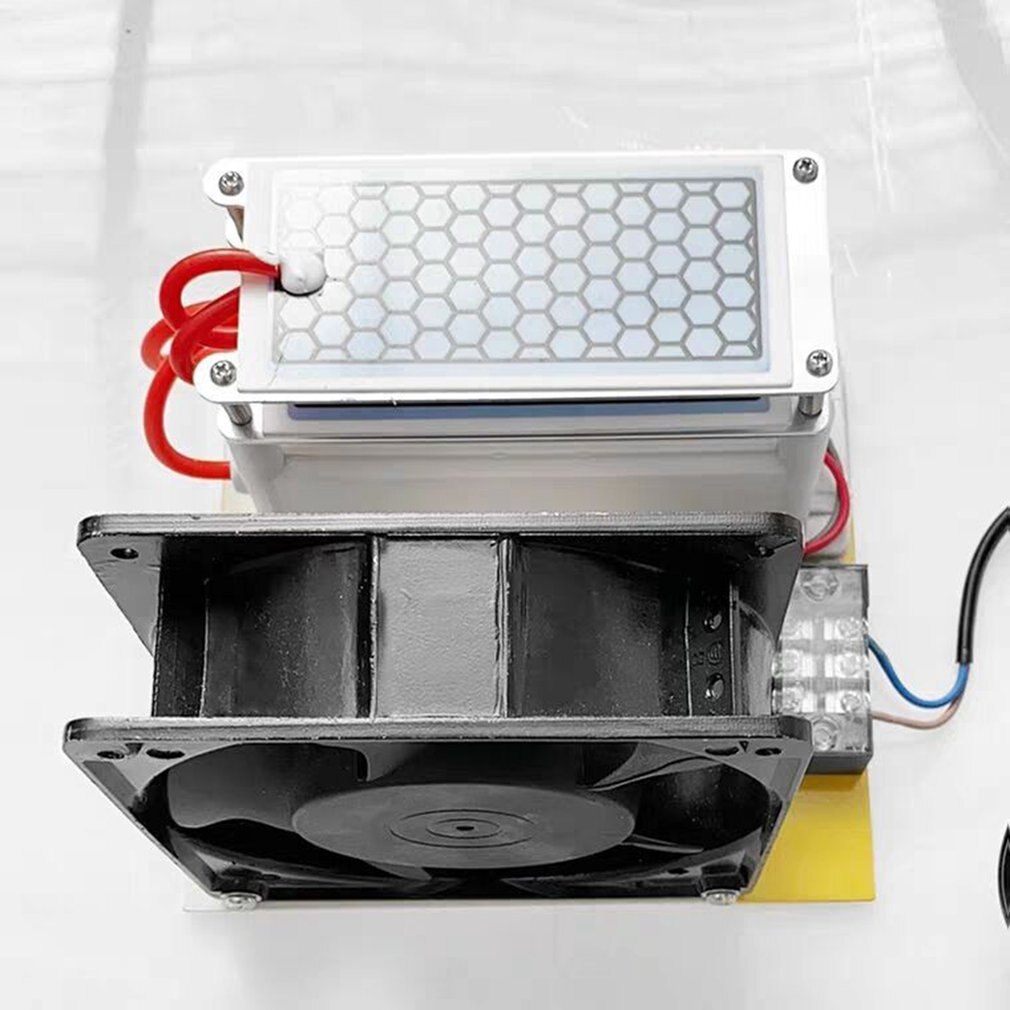 Generador de ozono de 10 g/h, doble placa cerámica, esterilizador integrado, ozonizador de aire, purificador DIY, dispositivo de eliminación de olores, Plug & Play