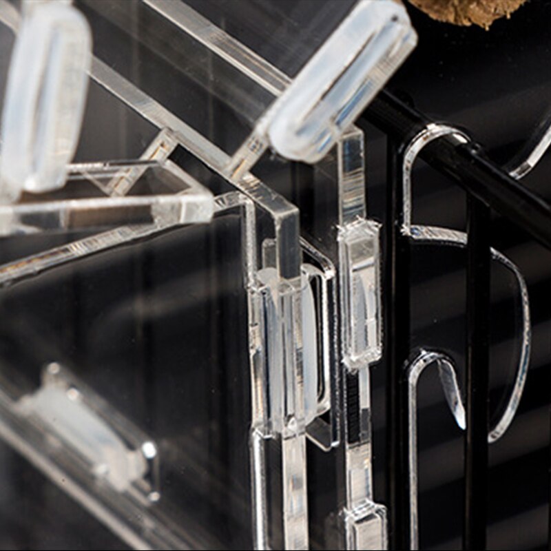 Anti-planer and Anti-scattering Automatic Bird Feeder Trough Starling Acrylic Feeder Automatic Feeder for Parrots and Birds