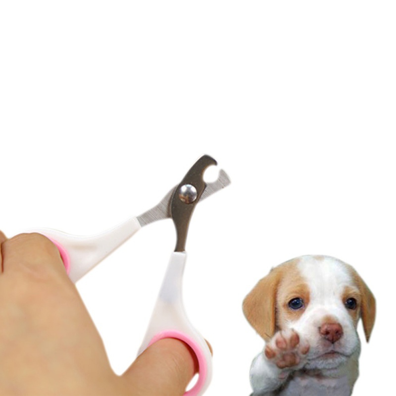 Honden Nagelknipper Puppy Hoed Trimmer Pet Cut Nail Schaar Scherp Roestvrij Stalen Kop Kleine Hond Dierbenodigdheden