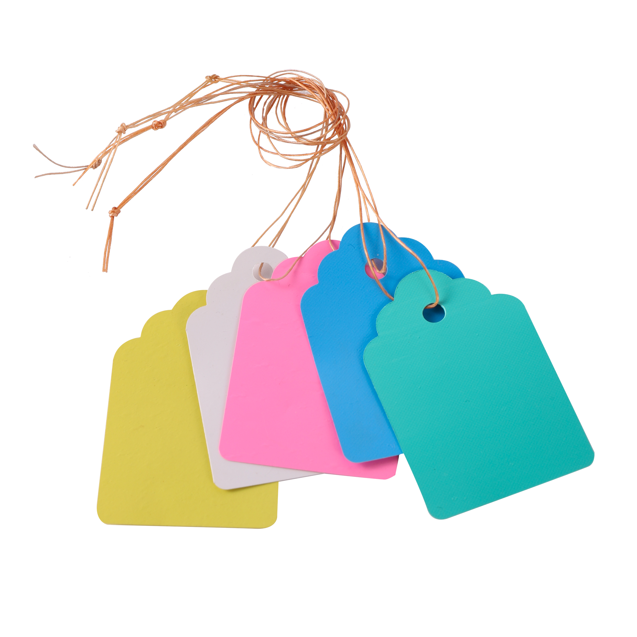 Marcadores para plantas colgantes, etiquetas para plántulas de bricolaje, para colgar flores de jardín, macetas de jardín, herramientas de clasificación de letreros, 100 unidades por lote