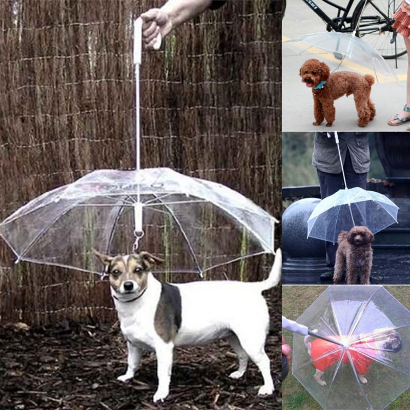 Pet Paraplu Transparante Pe Kleine Hond Paraplu Regenkleding Met Hondenriemen Houdt Huisdier Droog Comfortabel In Regen Sneeuwt Nuttig