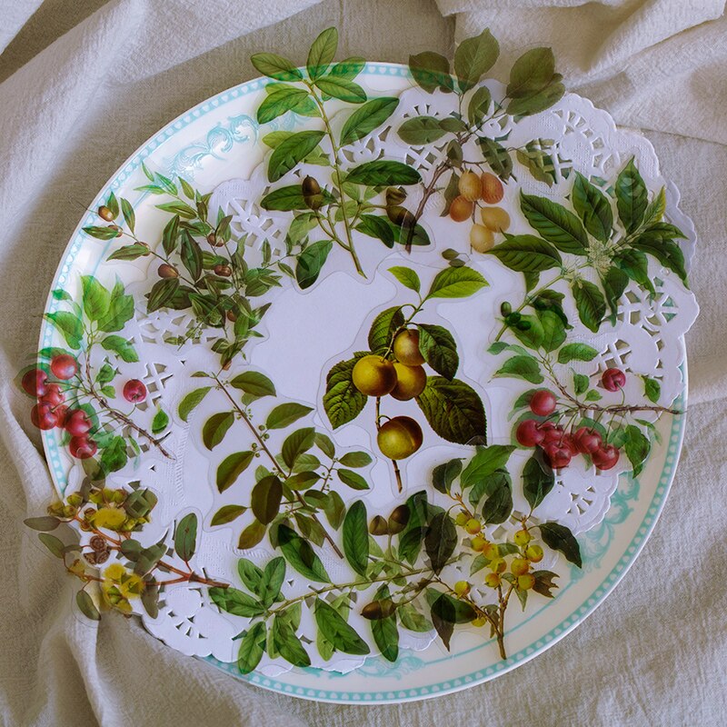 40Pcs Natuur Fotoboek Huisdier Grote Deco Stickers Plant Bloem Blad Transparante Kogel Journaling Accessoires Esthetische Stickers