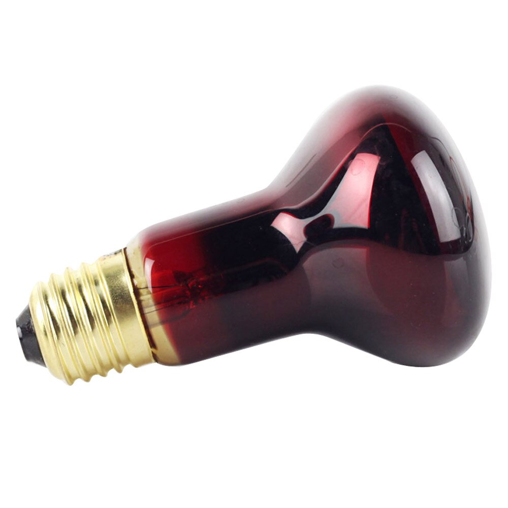 Bombilla calefactora infrarroja R63 para Tortuga, lagarto, reptil, serpiente, mascota, controlador de temperatura de 220-240V, 40W, 60W: 40W