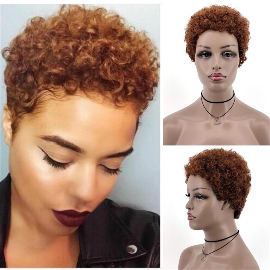 GAKA Short Afro Kinkly Curly Synthetic Wigs for Africa American Black Women Pixie Cut Natural Brown Wig: Brown