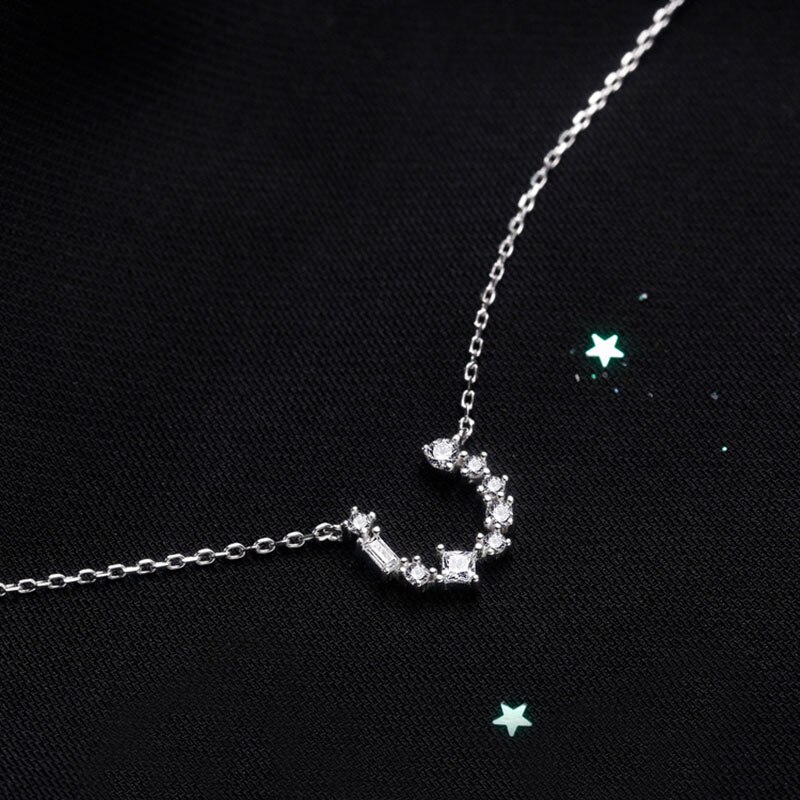 925 Sterling Silver Pin Love Fishbone Horseshoe Style Adds Charm To Exquisite Pendant Necklace: Horseshoe