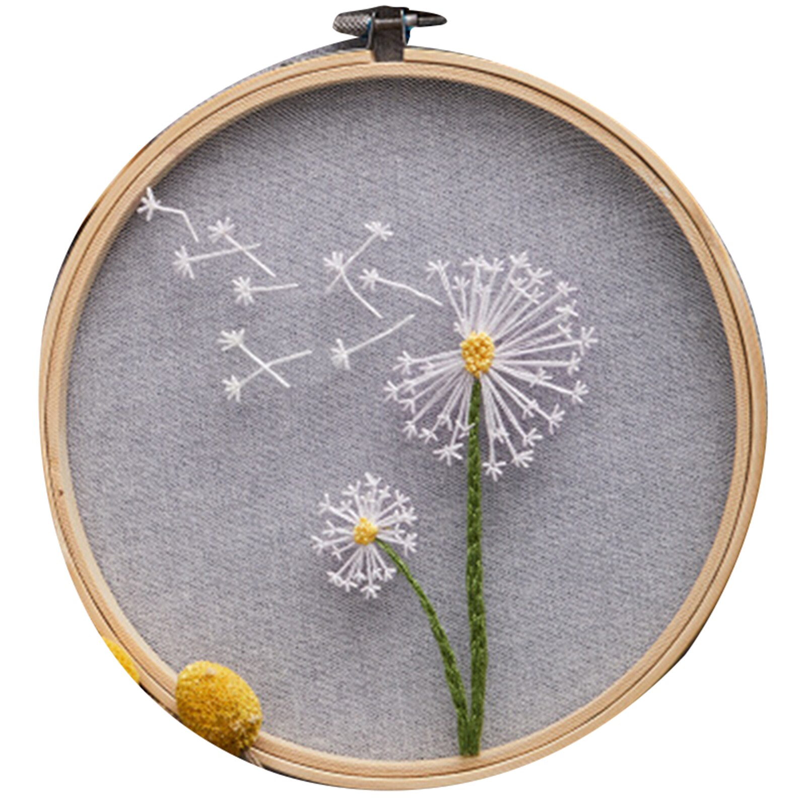 DIY Embroidery Kit With Instructions For Starter Home DIY Embroidery 1 Set Thread With Embroidery Hoops Home Decoration: C