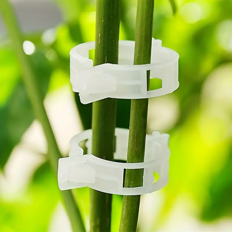 Clips de Support de Plantes de Jardin, Vigne, Tomate, Treillis, 50 Pièces
