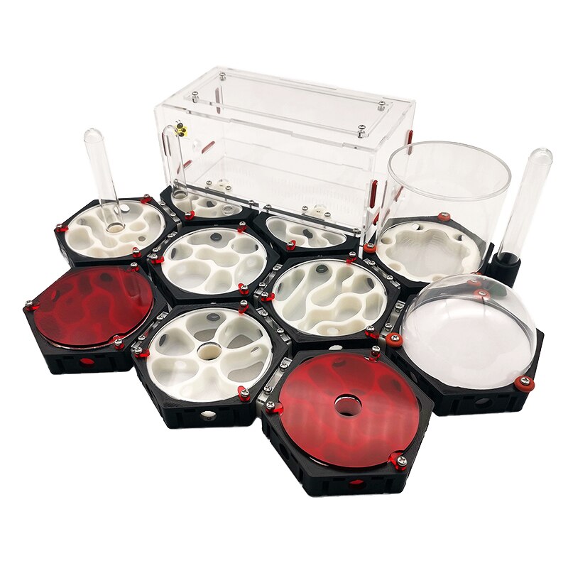 Ant Space Station 3D Ant Nest Queen Nest Acrylic Ant Nest Idea Reptile Terrarium Ants Farm House