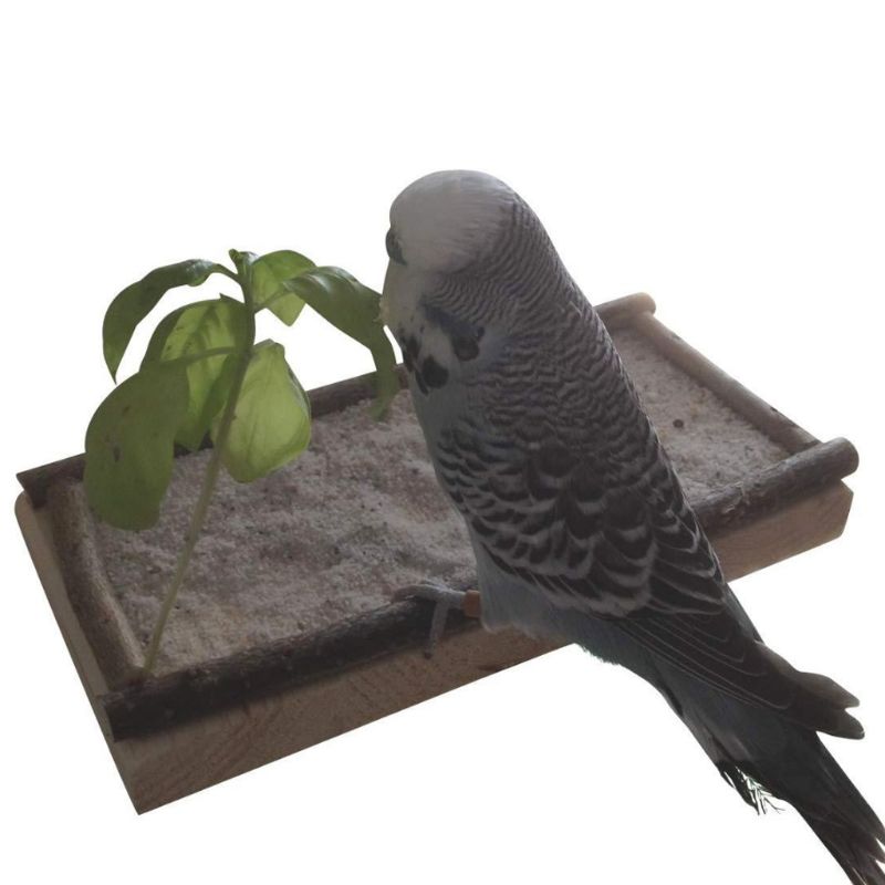 Hamster speelgoed wip rat schommel tuig papegaai houten ladder springplank