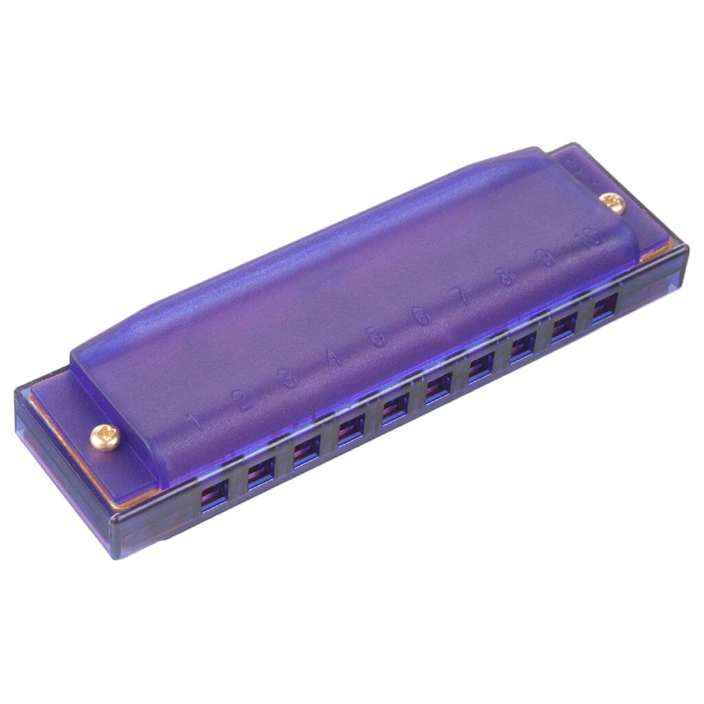 Blues Harmonica 10 Holes C Sleutel Beginner Harmonica Voor Kid En Adult Paars