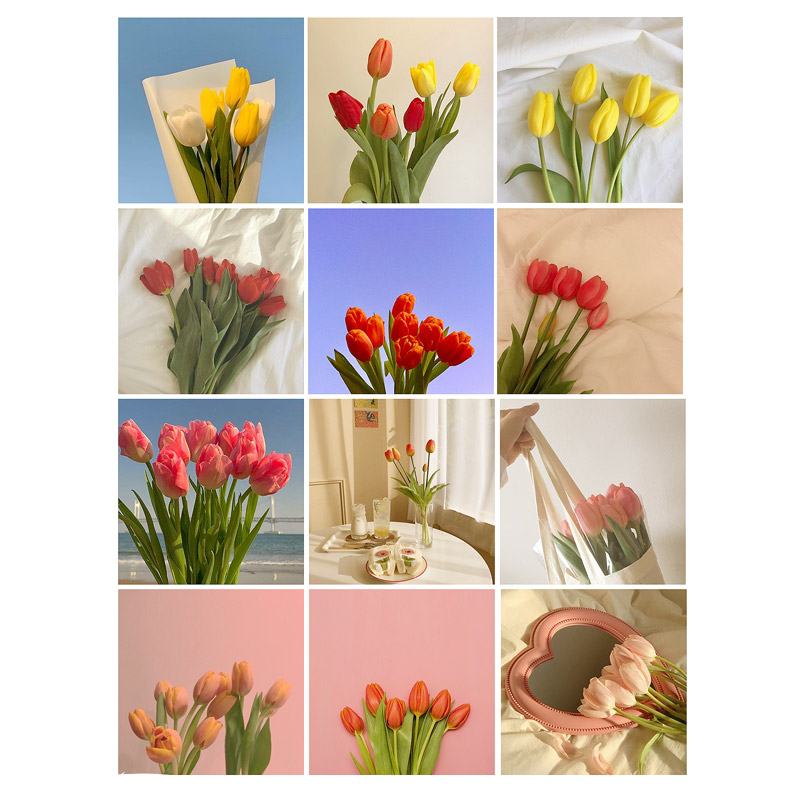 3 typer tulipan blomsterserie klistremerker diy scrapbooking album dagbok mobil datamaskin forsegling glad plan dekorasjons klistremerker: A12 stk