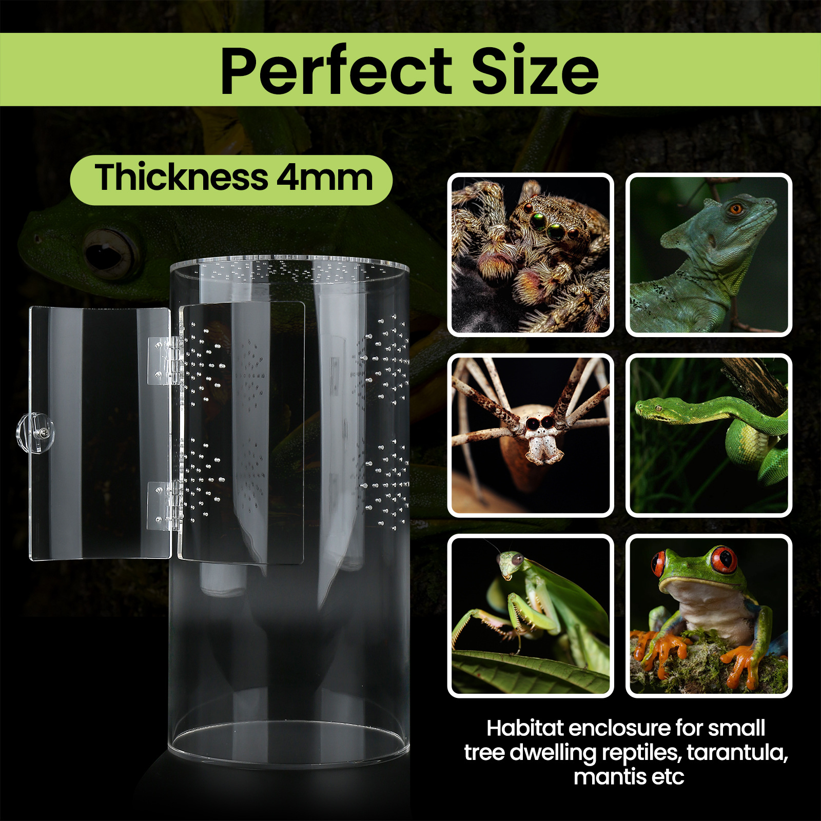 Insect Feeding Cage Spider Lizard Scorpion Arboreal Enclosure Case Acrylic Reptile Breeding Box Transparent Terrarium Habitat