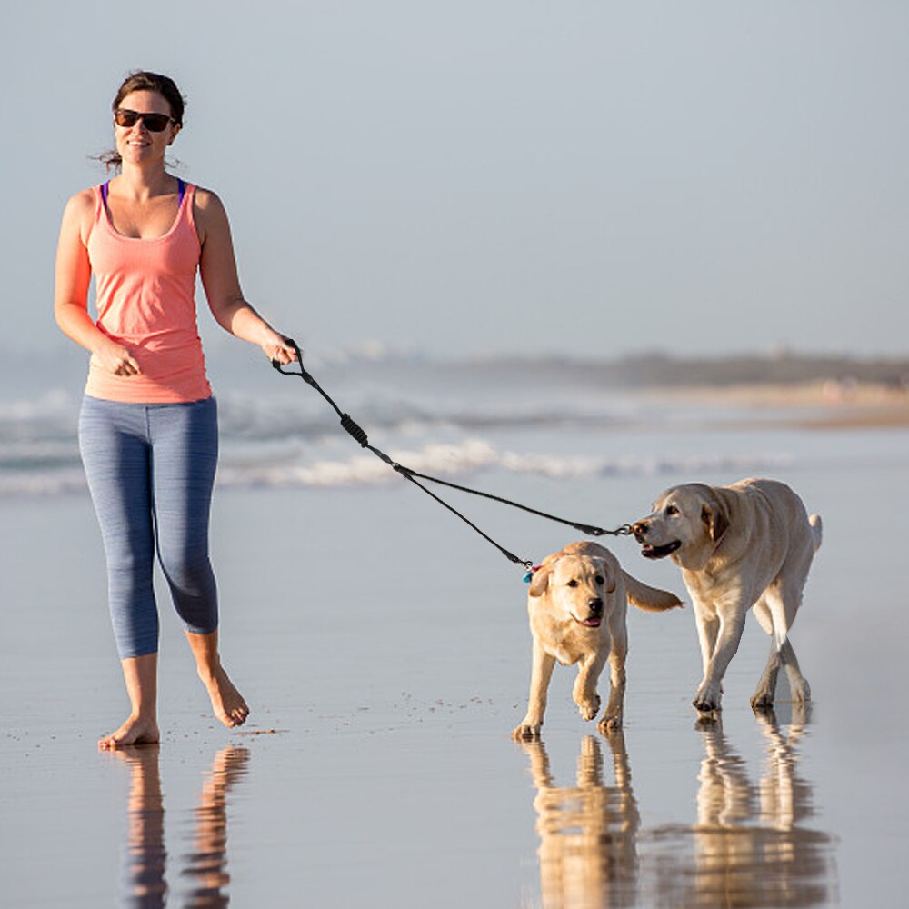 Regenbogen Hunde Leine 3 in 1 Nylon mit gepolstert Griff 360 ° schwenken Keine Verwicklung für gehen und Ausbildung leinen Für Große Hund