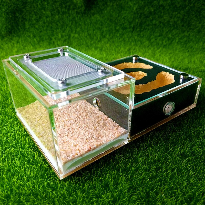 Plaster Ant Nest Acrylic Ant Farm Ants Queen House Insect Cage Anthills Pet Ant House: Type6