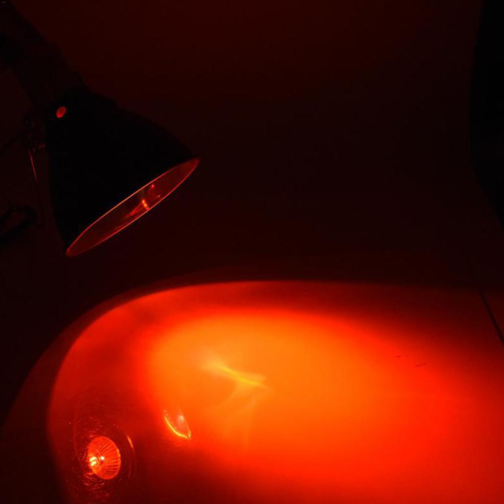 Lámpara UV de Reptiel, 25/50/75/100W UVA + UVB, Schildpad Koesteren, Gloeilampen, lámpara de vercalentamiento, Amfibieën Hagedissen, Control de Temperatuur