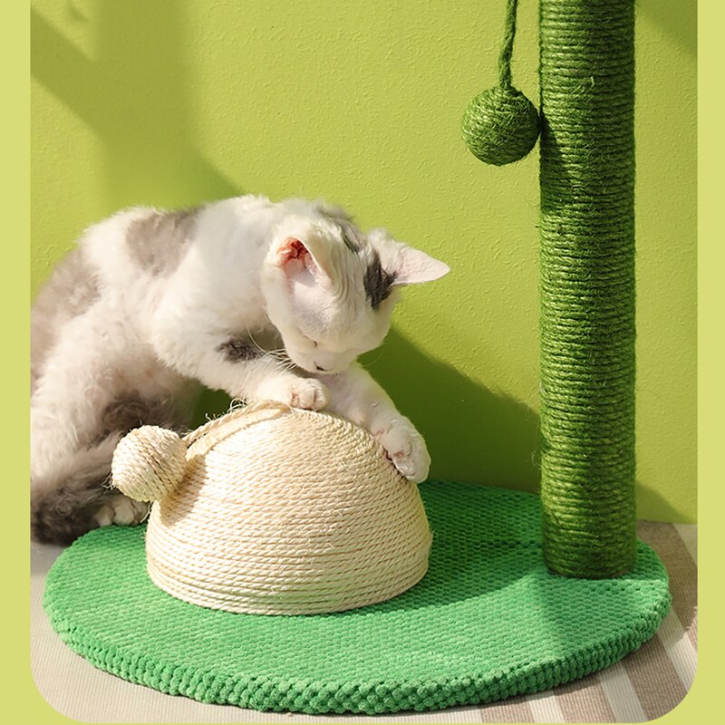 Cactus Kat Krabpaal Met Sisal Touw Kat Scratcher Cactus Voor Katten Scratch Kitten Speelgoed Kat Nest Tree Huis Meubels shelve