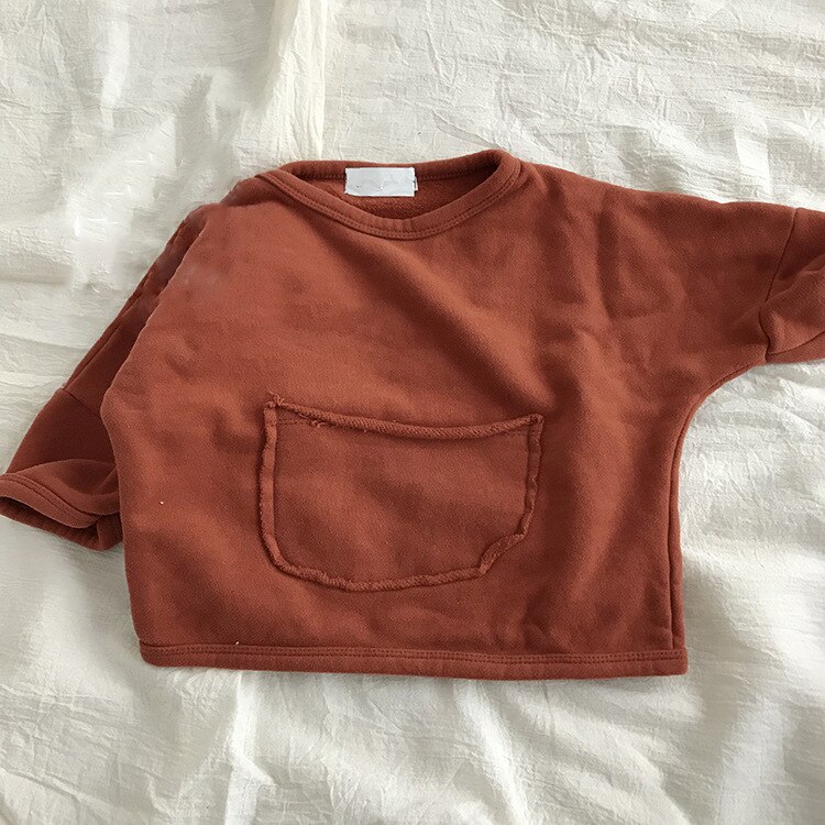 5413 Kinderen Casual Tops Truien Herfst Koreaanse Jongens En Meisjes Grote Zak Losse Hoodies 4 Kleuren Kids Kleding Tops: brown / 100cm