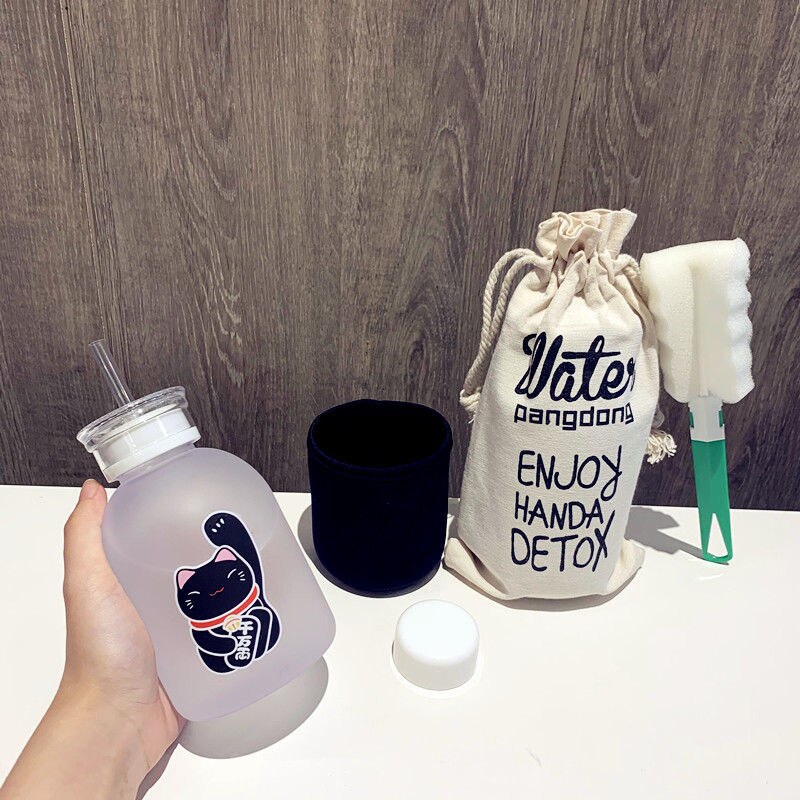 500ml chat chanceux bouteille en plastique sans BPA dessin animé Transparent/givré bouteilles d'eau étanche Drinkware mignon étudiant tasse: 8