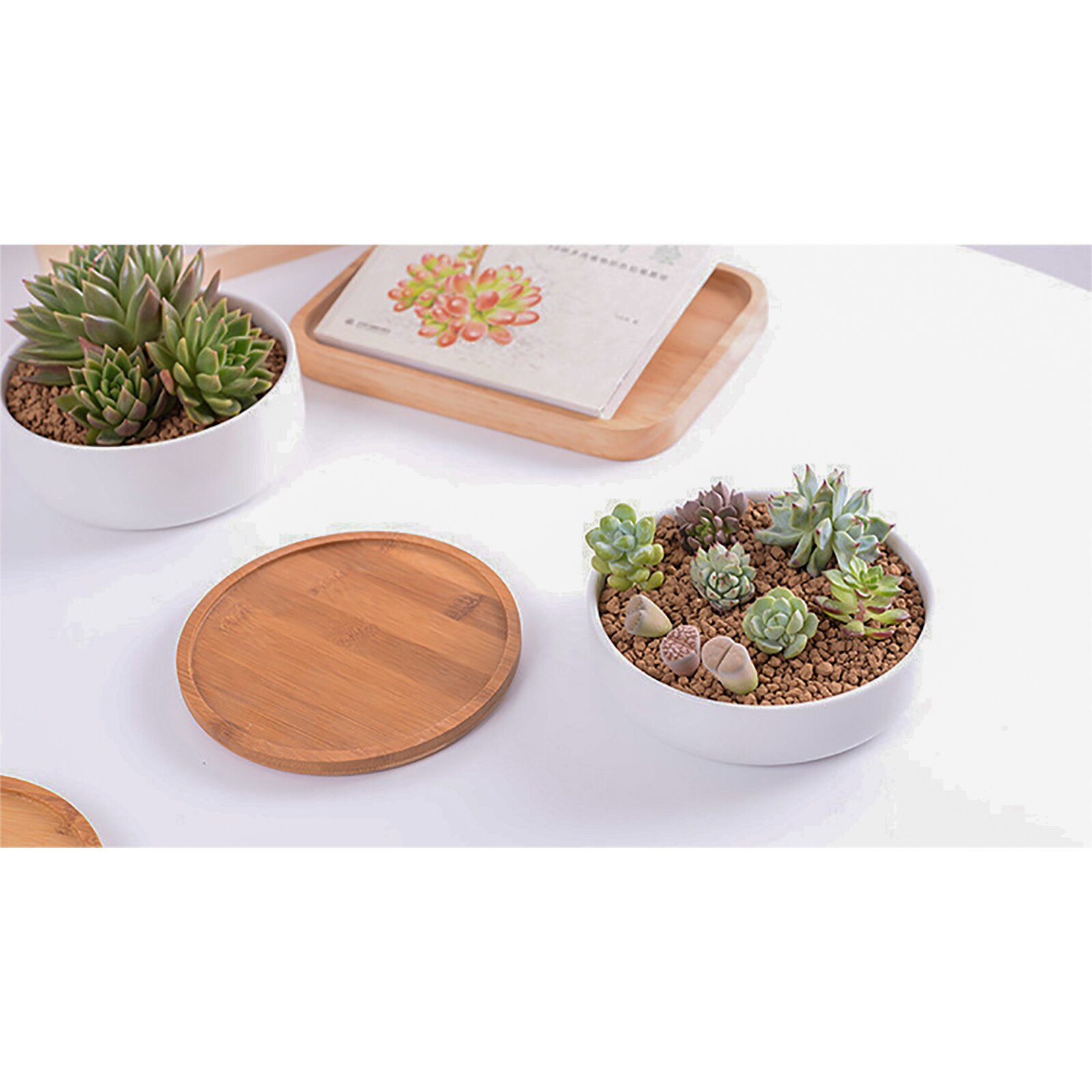 Succulent Ceramic Flower Pot Plant Saucer Bamboo Tray Tabletop Tea Set Coasters Round Original Wood Color Drip Water Container