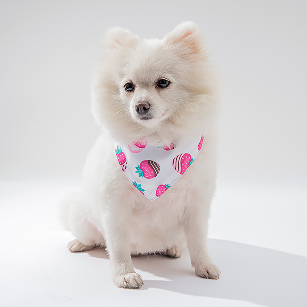 Écharpe de cou réglable en cuir pour animal de compagnie, collier bandana, accessoires pour chiot et chat