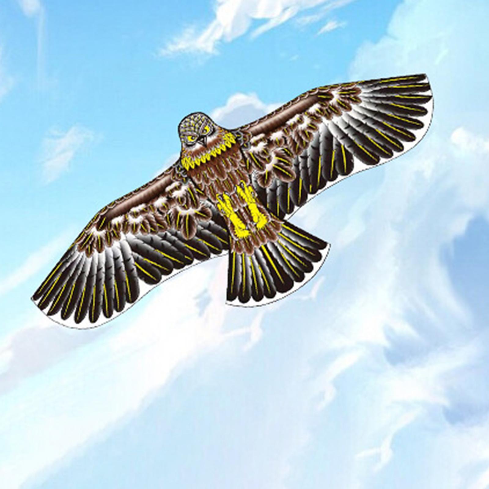 Realistic Eagle Kite Family Outdoor Games for outdoor game activities