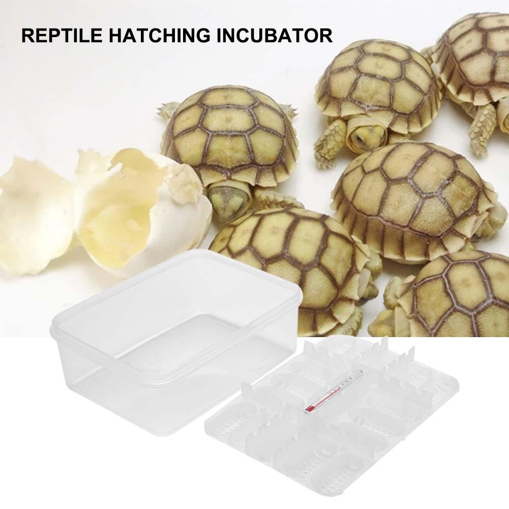 Plástico práctico 16 rejillas Reptiles de plástico bandeja para incubar huevos serpiente, lagarto huevos caja de incubadora herramienta de incubación terrarios