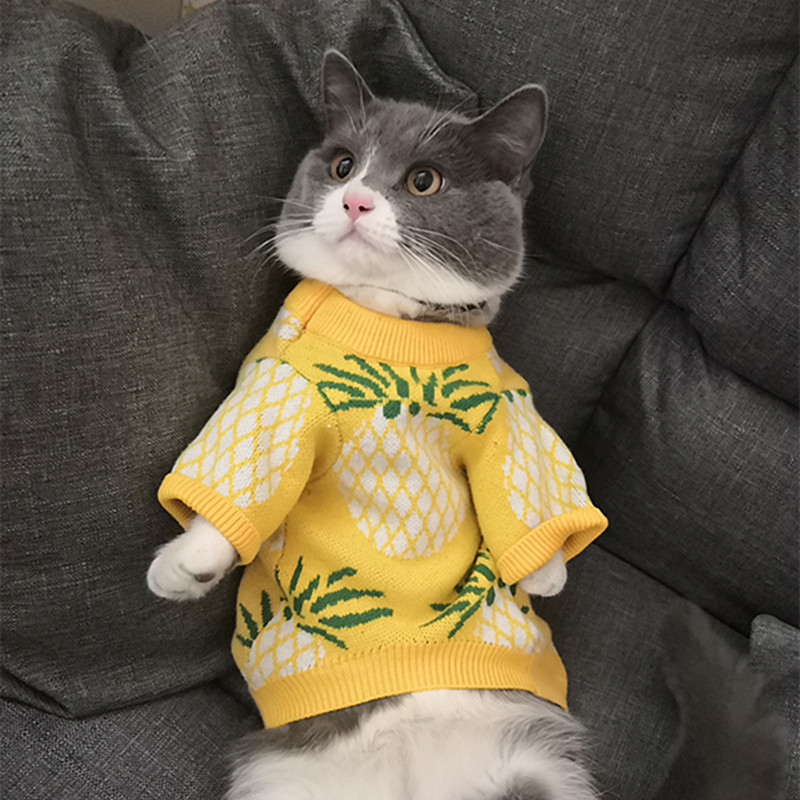 Pull de luxe à manches courtes pour chat et chien, ananas