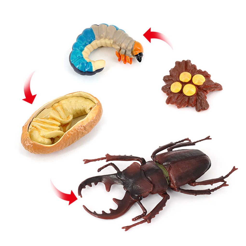 1 set spatenwurm-modell aus simuliertem kunststoff, detailgetreue insektenfiguren, interessante, naturbezogene wachstumsmodelle