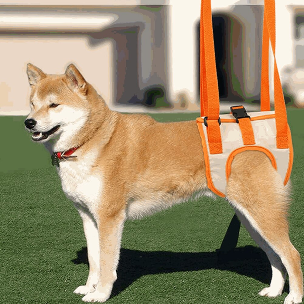 Verstelbare Pet Dog Mesh Riemen Helpen Harnas Lift Harnas Achter Been Ondersteuning Riem Lift Assist Voor Gehandicapten Draagbare Letsel Oudere