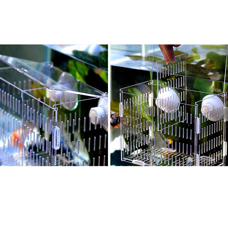 Firkantet akvarium avlsboks isolationsboks akrylplade isoleringsboks stege hængende isolationsboks akvarietilbehør