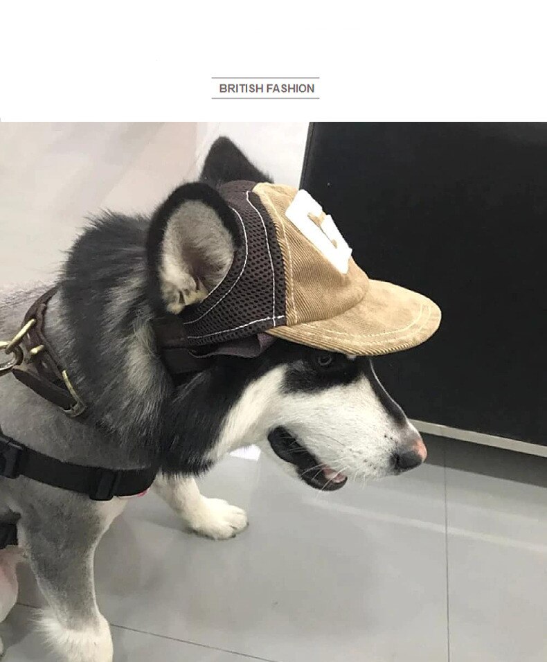 Pet Dog Cat Breathable Sunscreen Hat Winter Summer With Ear Holes Outdoor Baseball Sun Cap Supplies Travel Sport Accessories
