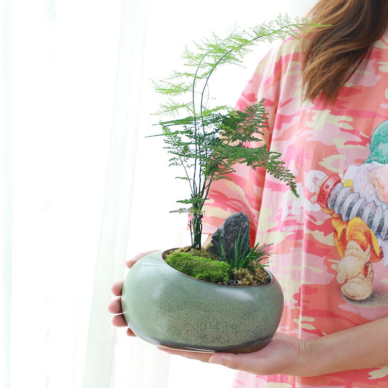 Maceta pequeña de cerámica Retro Para el hogar, maceta creativa de escritorio para plantas verdes suculentas Wenzhu, utensilios de jardín chino hechos a mano