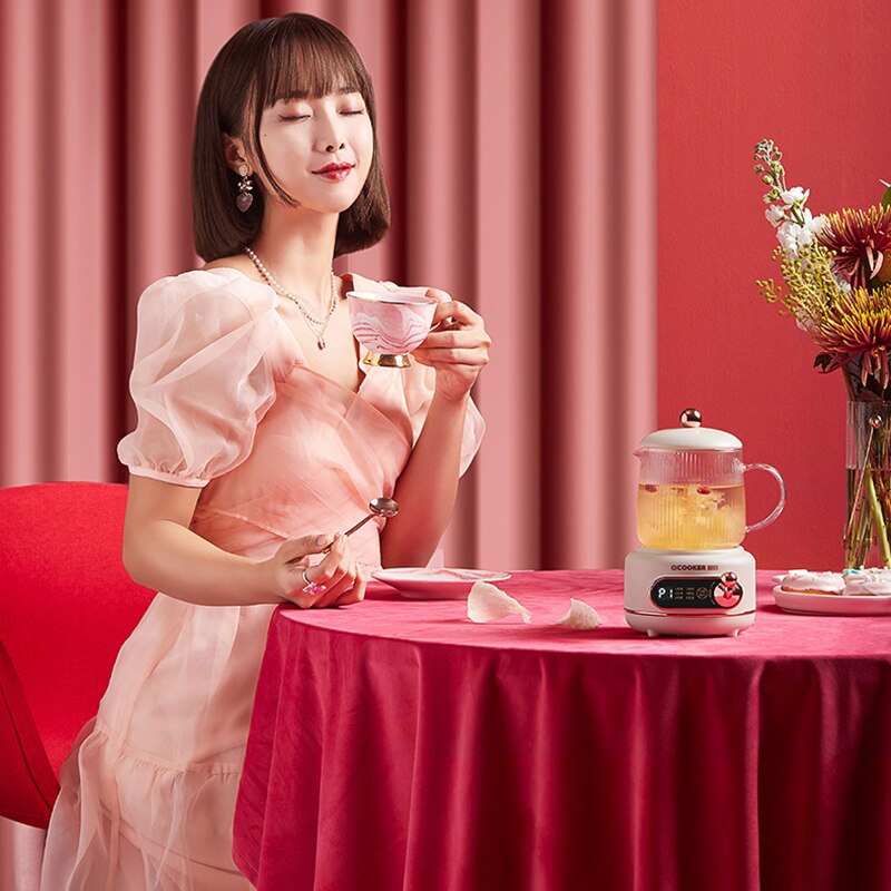 500ml Health Preserving Pot Electric Kettle Teapot Glass Stew Cup Slow Cooker Cup Heater Mug Warmer Boiled Water Pot 220V