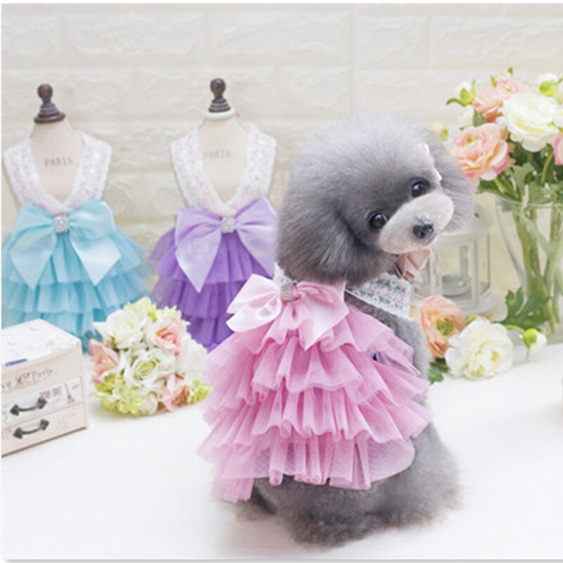 Vêtements pour animaux de compagnie de luxe pour petit chien robe princesse mariage Tutu robe nœud printemps été chien vêtements
