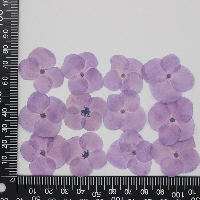 60 stuks/pak hortensia epoxy gedroogde bloemen reliëf plant specimen handgemaakte doe-het-zelf aromatherapie materiaal accessoires: 11