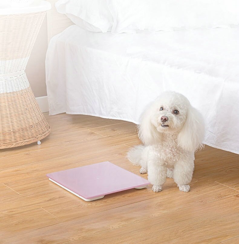 Body Human Weight Scale Electronic Smart Cute Bathroom Weight Scale Weighing Machine Bascula Corporal Household Products DE50TZ