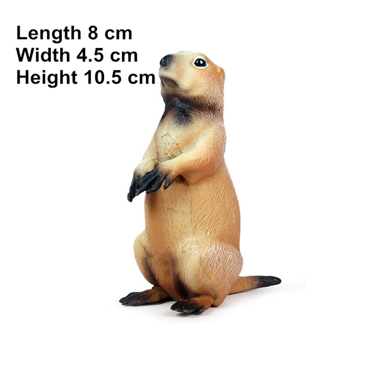 Simulatie Marmot Prairie Hond Muis Eekhoorn Chipmunk Figuur Dier Collector Kid Decor Speelgoed Model Speelgoed Voor Kinderen: 01