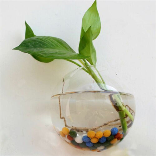 Opknoping Bloempot Glas Bal Vaas Terrarium Muur Aquarium Aquarium Container