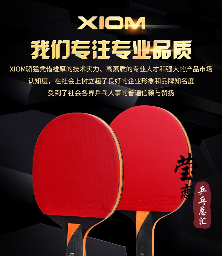 XIOM table tennis racket finished racket carbon racket blade with pimples in rubber player ping pong game