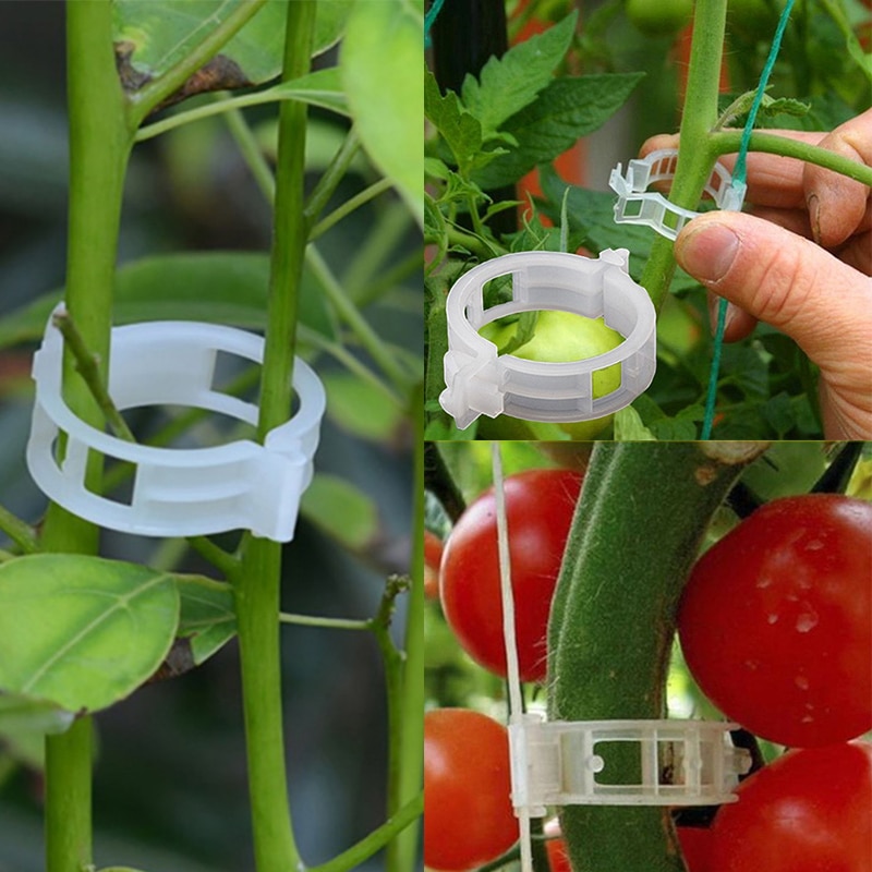 Anillos de plástico para jardín, 50/100 Uds., anillos de fijación para plantas, enredadera colgante para jardín, invernadero, verduras, tomates, cultivar pinzas verticales