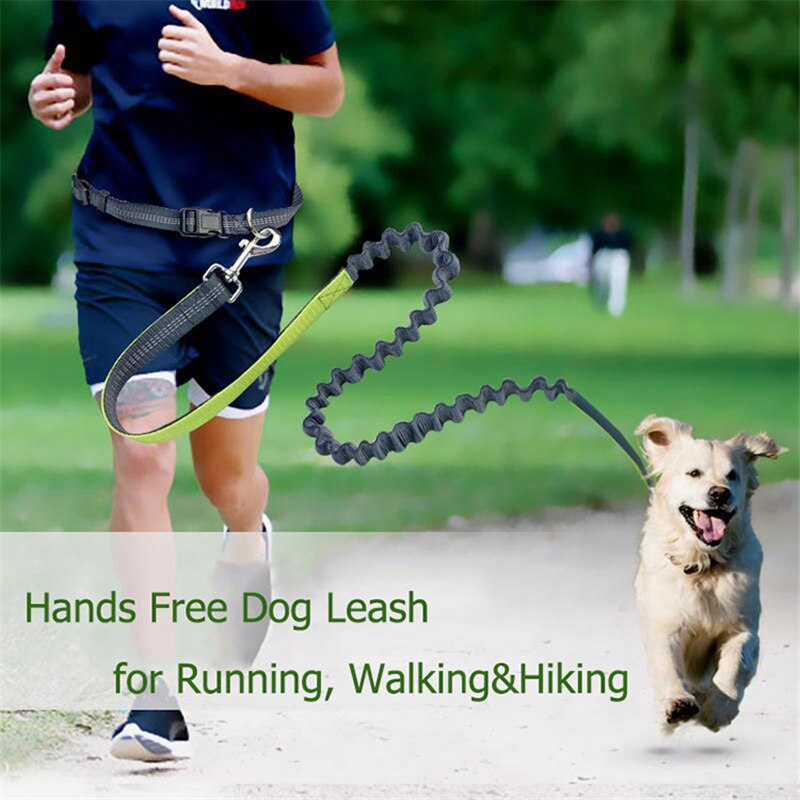 Hond Wandelen Leash Handen Gratis Elastische Taille Hondenriemen Running Jogging Hond Lood Kraag Verstelbare Nylon Reflecterende Leash