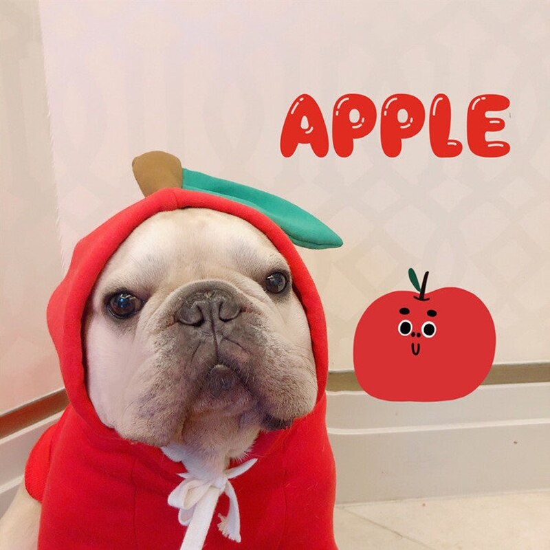 Image showcasing Cute Apple Banana Pet Costume Christmas Dog Hoodie... – Grandado