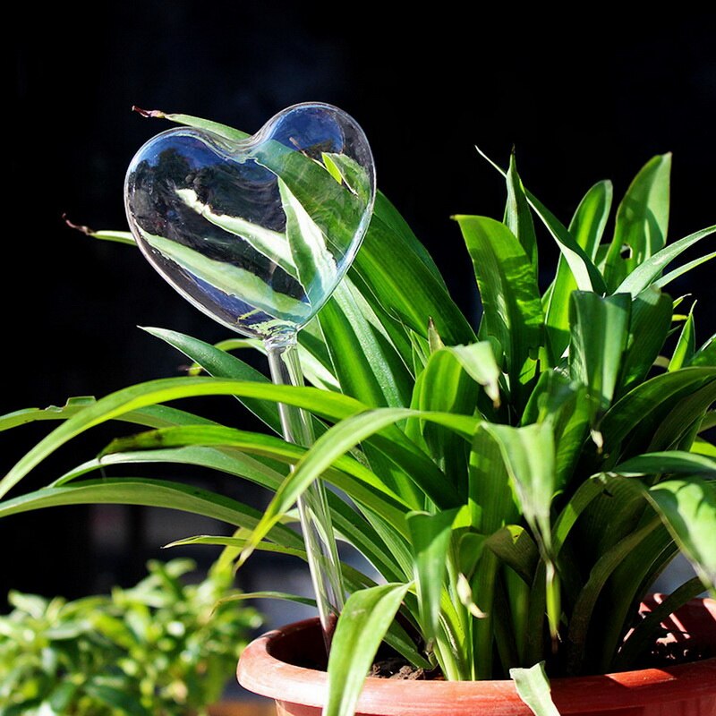 9 typer glas plantevand selvvandende plante vandende glas plante blomster vandfoder selvvandende fugl plante vandende: G268547