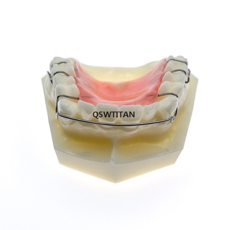 Hawley Retainer Teeth Model Bionator Removable for dentistry students Teach Study Teeth Model