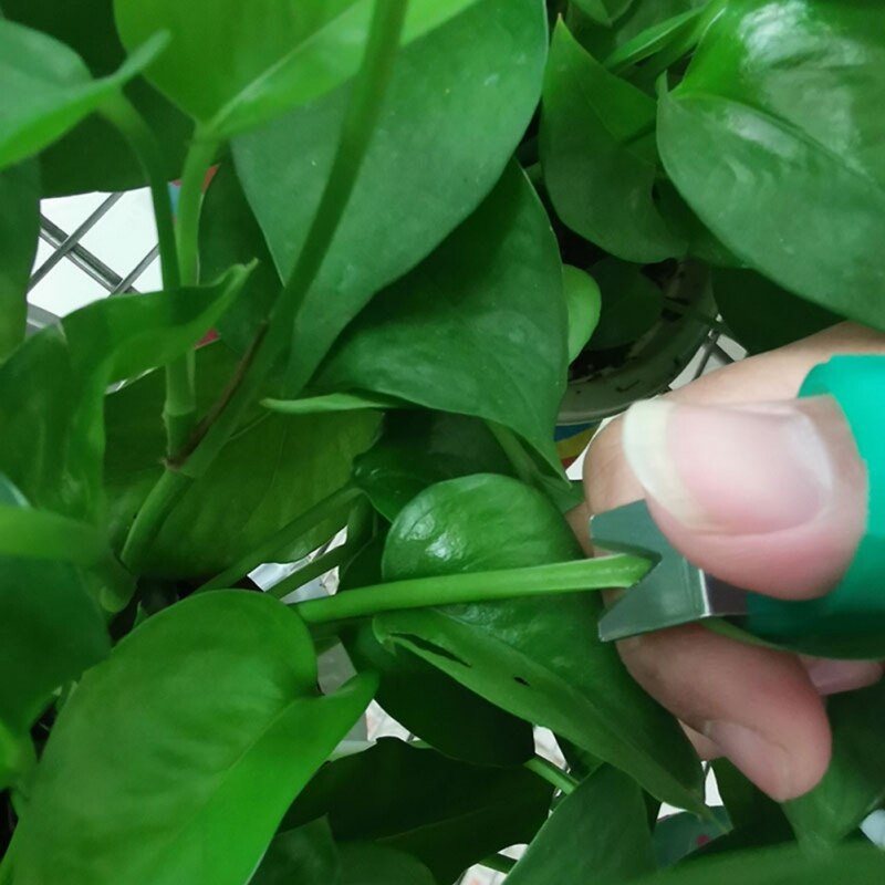 Crop Tomaat Cucumer Druif Oogsten Tuingereedschap Blade Snijden Schaar Fruit Plukken Ring Groente Picking Ring. N