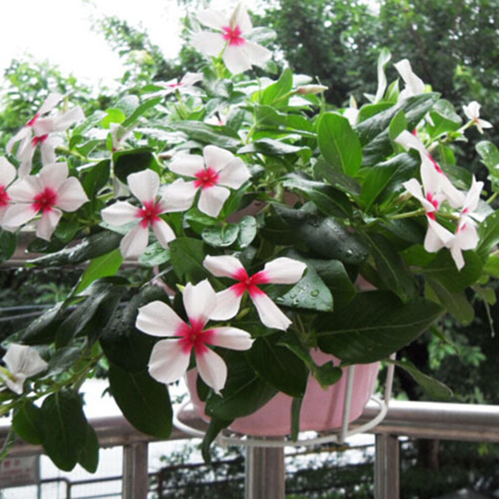 Flower Pot Basket Holder Iron Craft Balcony Garden Plant Planter Vase Organizer With Round Hook Home Patio Gadget Decoration