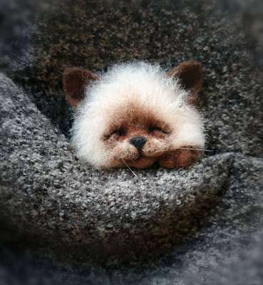 Diy Dieren Broche Vos Hond Kat Wol Naaldvilten Materiaal Pakket Wolvilt Craft Poke Set Handwerk: 09