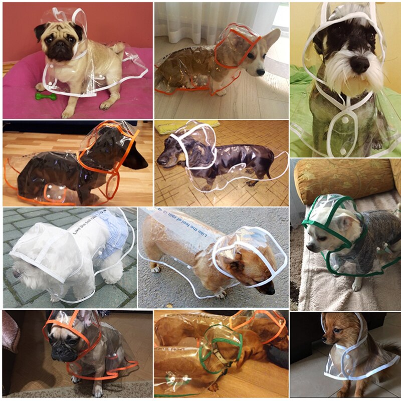 Transparent Waterproof Rain Coat For Dogs Cat Pet Pet Dog Raincoat For Small Dogs Medium Puppy Transparent Dog Raincoats